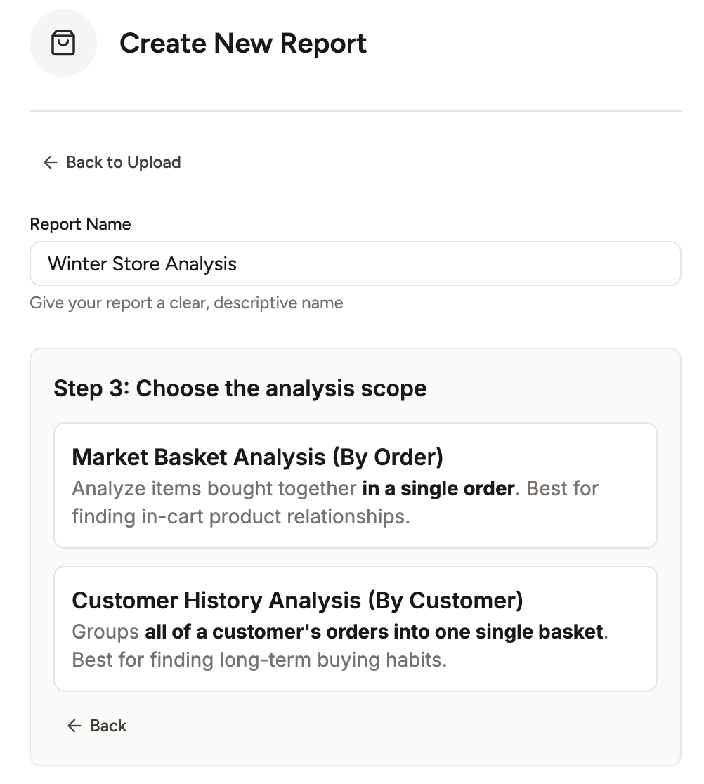 A screenshot of the final step, where the user decides between a 'Basket Level' or 'Customer Level' analysis.